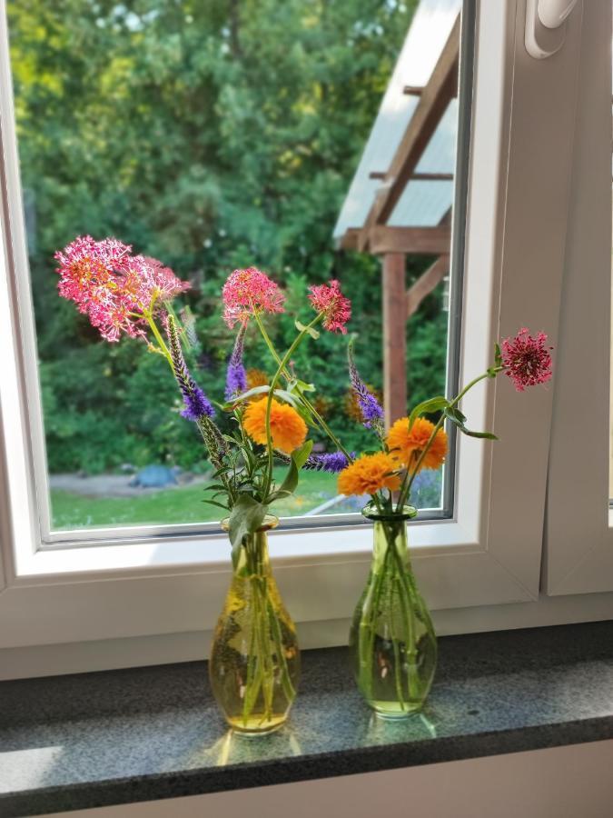 WeierMuhrbach别墅 外观 照片